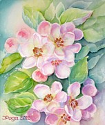 apple-blossoms-1-inese-poga