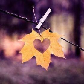 leaf with heart